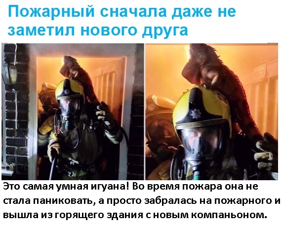Так себе картинки 09.08.2021