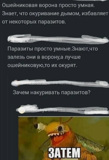 Забавные комментарии из социальных сетей (13.09.21)