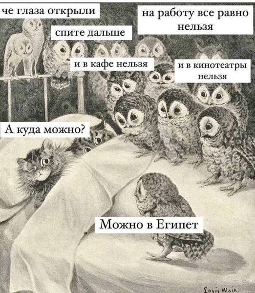 Пандемия. Коронавирус. Россия и мир. Последняя информация. Часть 26