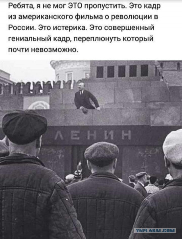 Всяческие картинки 22.11.2021