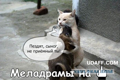 Сын того самого - генеральный в VK
