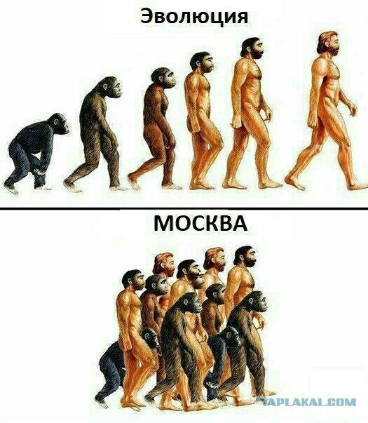 В Москве избили олимпийского чемпиона Дмитрия Соловьёва