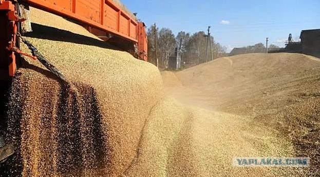 ЕС поможет Украине опустошить ее хранилища зерна