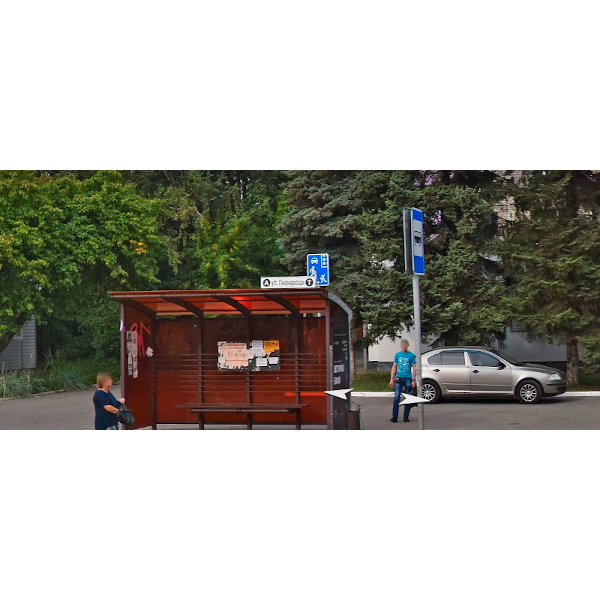 Хотел проехать по тротуару, но опозорился на всю страну