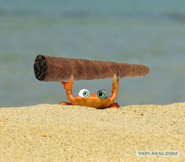Какой же удачный кадр