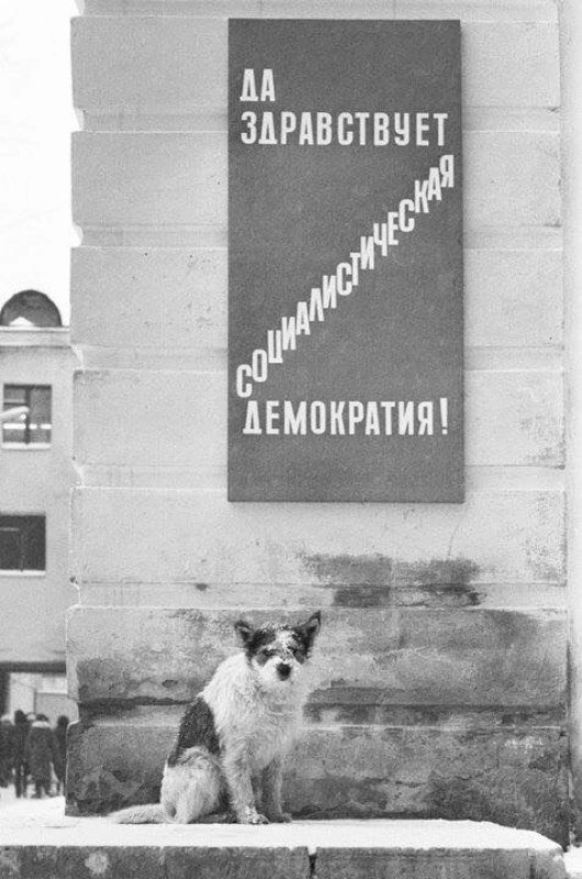Немного картинок для настроения - 119