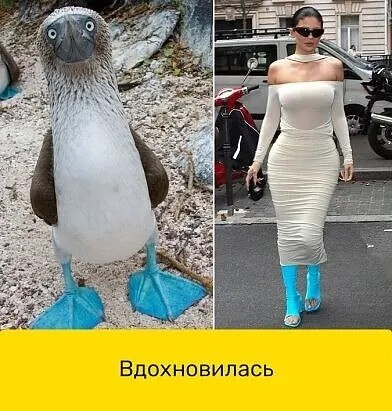 Юмор в картинках и без