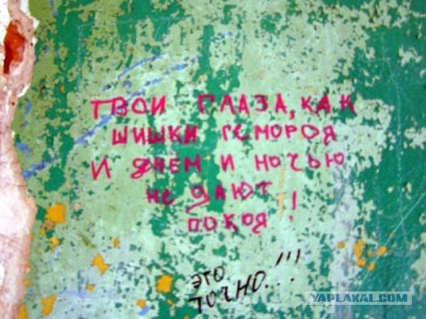 Вещи, которые я выудила из человеческих задниц