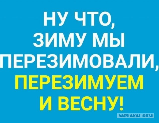 Побег от серых будней