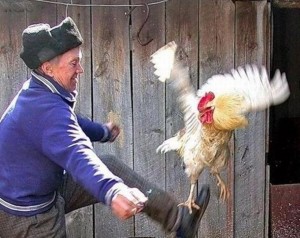 Лев Верхнего Ларса вернулся кошмарить девочек