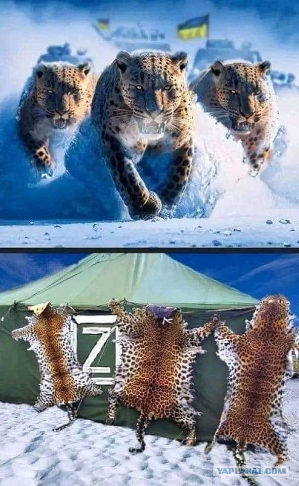 Продолжение следует... Планы любят тишину