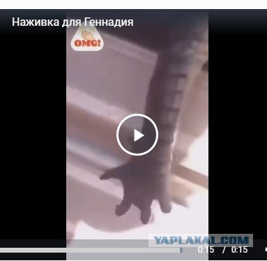 Наживка для Геннадия