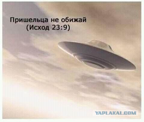 Баяны и аккордеоны. Смешные и не очень