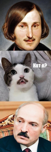Это же кошачий Батька