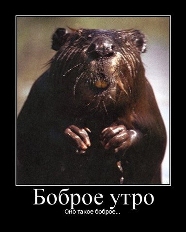 Химия и жизнь