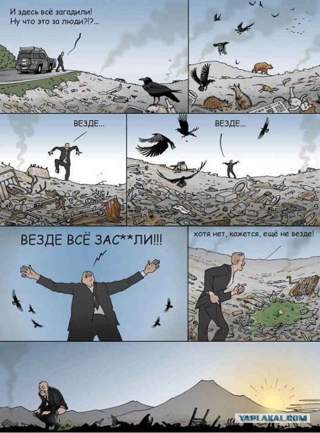 Сходил в лес