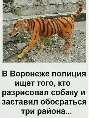 Юмор в картинках и без