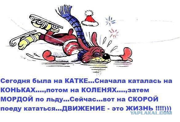 Химия и жизнь