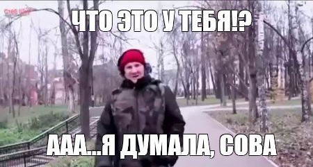 Сова пряталась на рождественской ёлке целых четыре дня