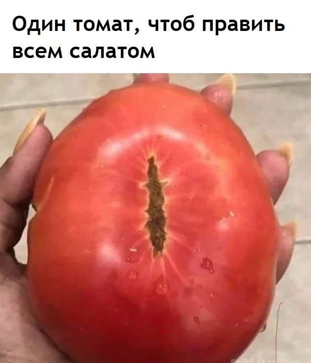Весёлый полтишок 11.01.23
