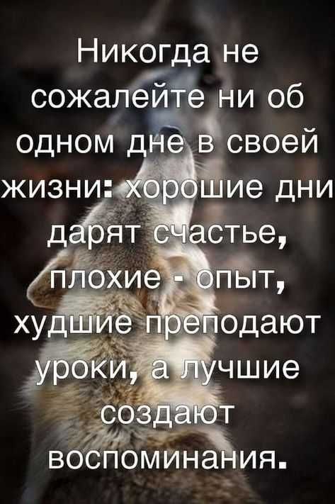 Прикольные и просто красивые картинки