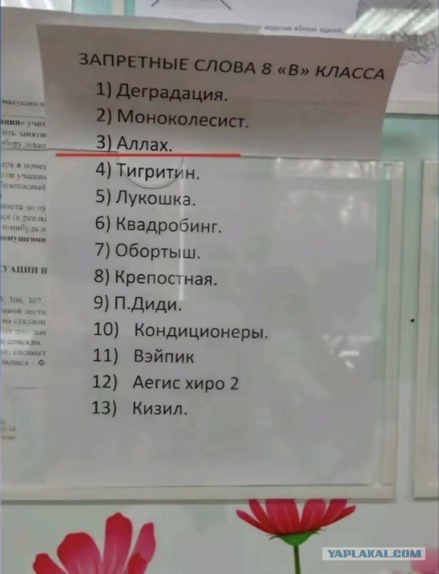Так себе картинки 10.12.24
