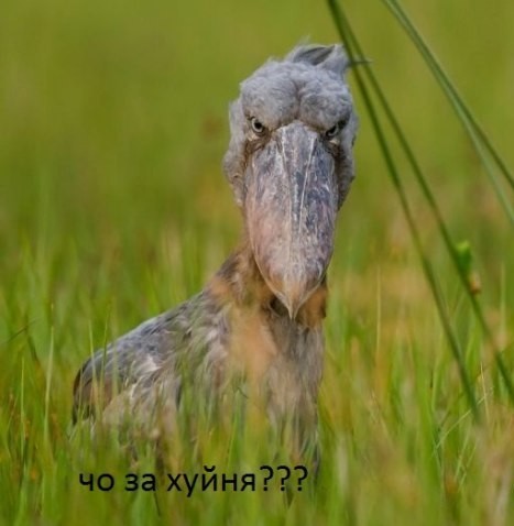 Минимализм под Законом!