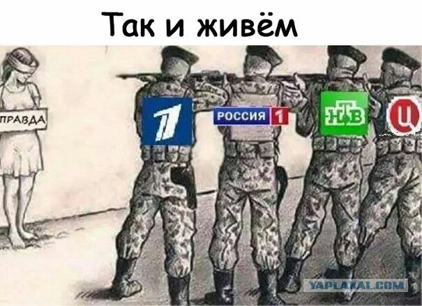 Рен тв нищеброды?