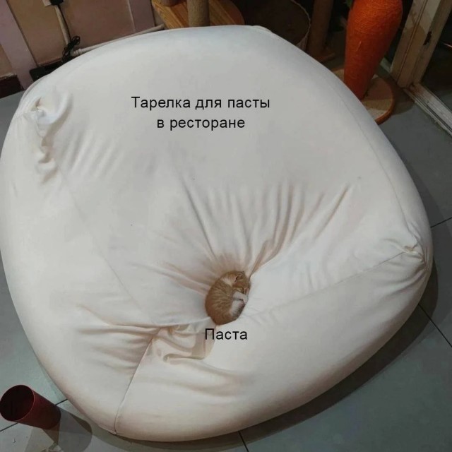 Интернет-мемчики на вторник и рабочее место