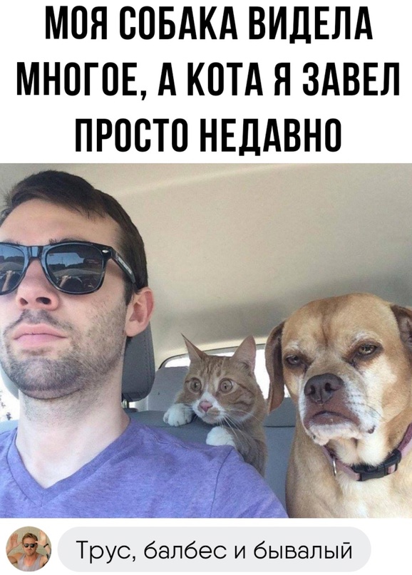 Картинки для деградации 3 (разной степени свежести)