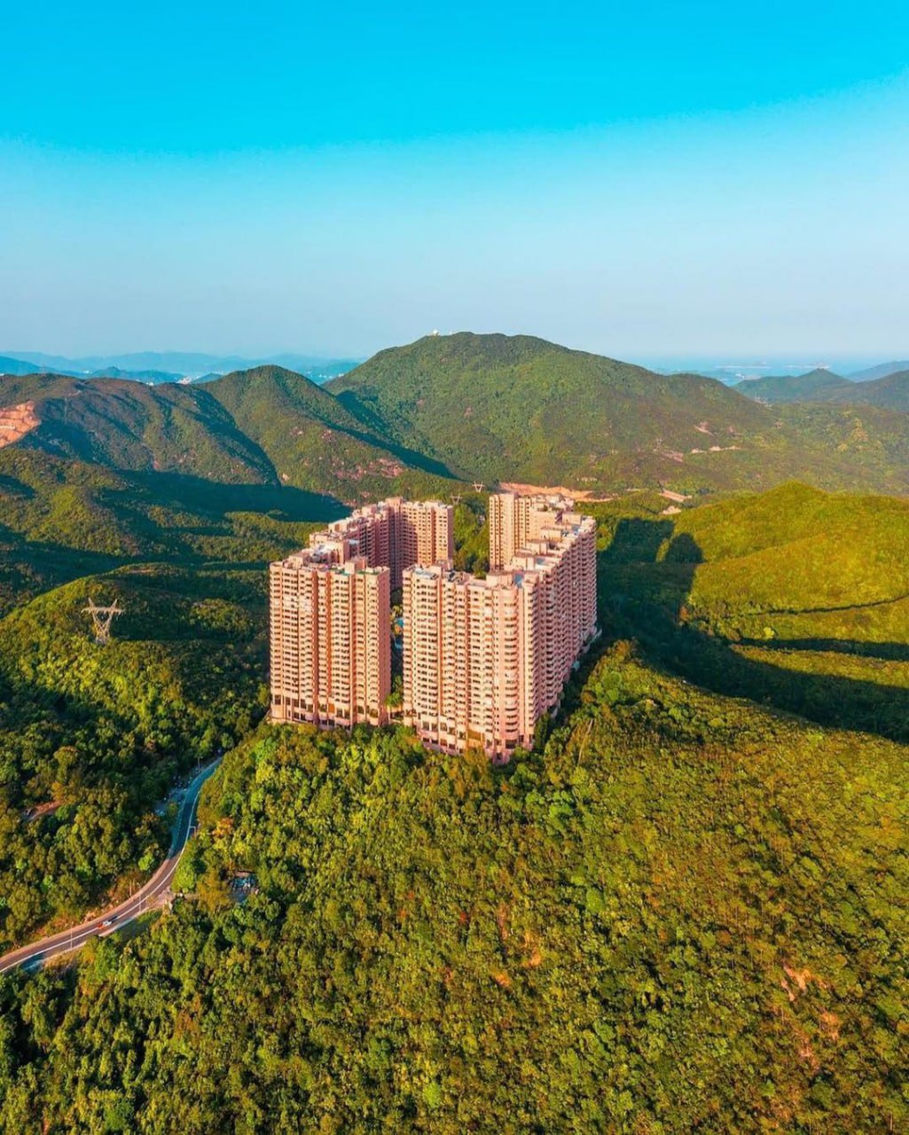 Город в лесу