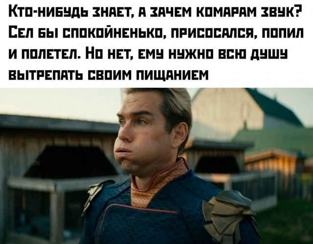 Весёлый полтишок 22.08.25