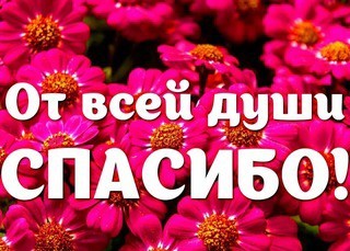 Кто парашют заказывал?