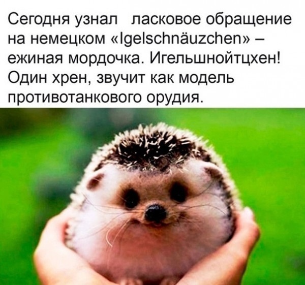 Баянопад
