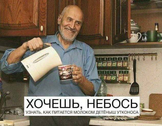 Картиночки, баянчики 27 декабря