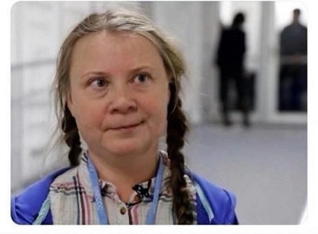 Перья из пятитысячных купюр сделал себе попугай — его хозяева просто оставили наличку на комоде