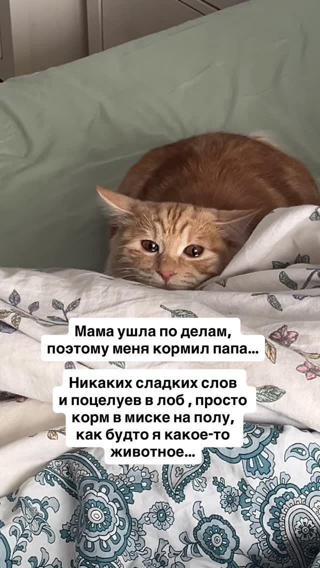 Веселые картинки в понедельник (30.03)