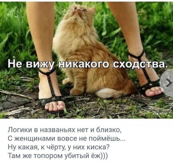 Дегрономикон 15