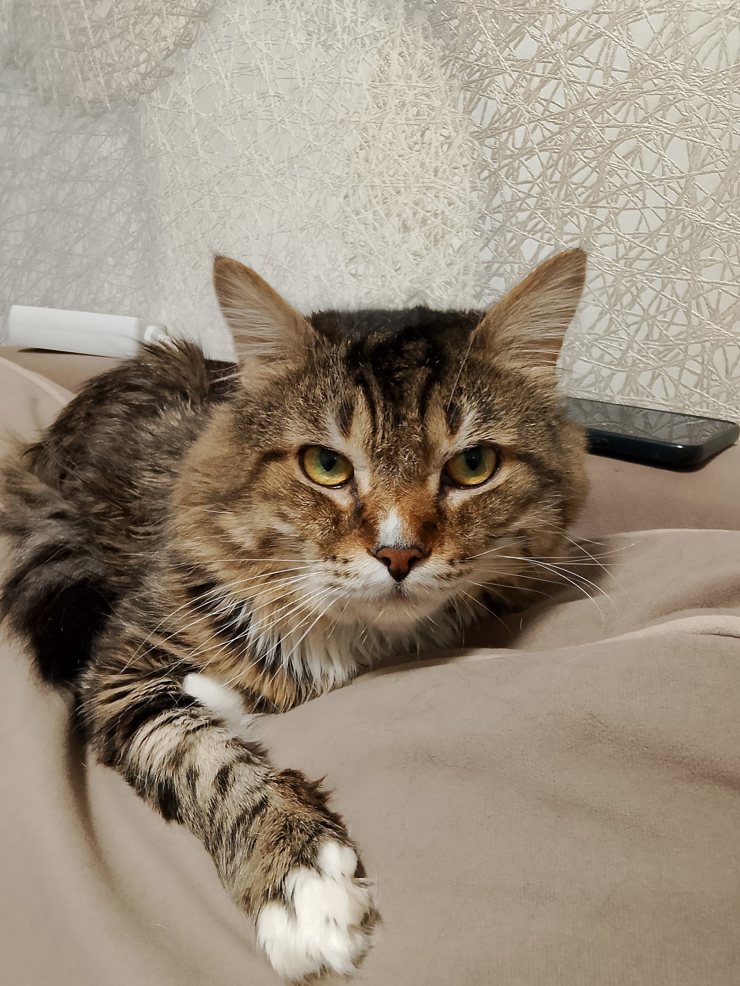 Знакомьтесь,мой сосед Михаил.