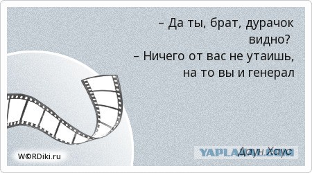 Драма с счастливым финалом — на канале Крюкова прохожий спас упавшую в воду собаку.