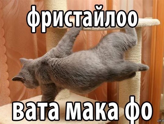 *БАЯН*Ф-Фристайло