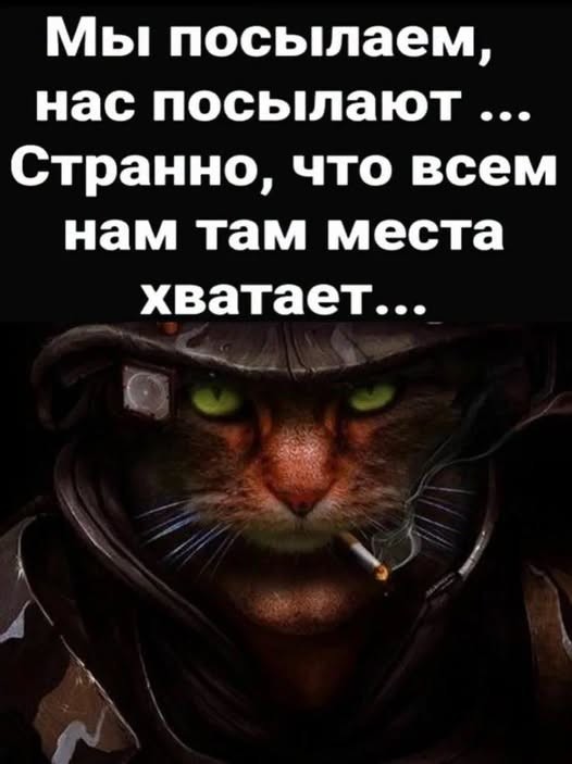Так себе картинки 11.07.26