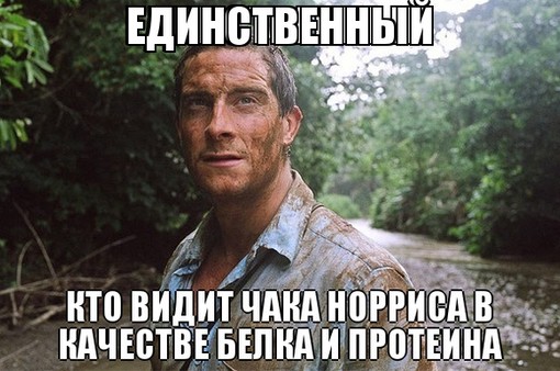 Они могут защитить вас от медведя, но против полотенца они бессильны