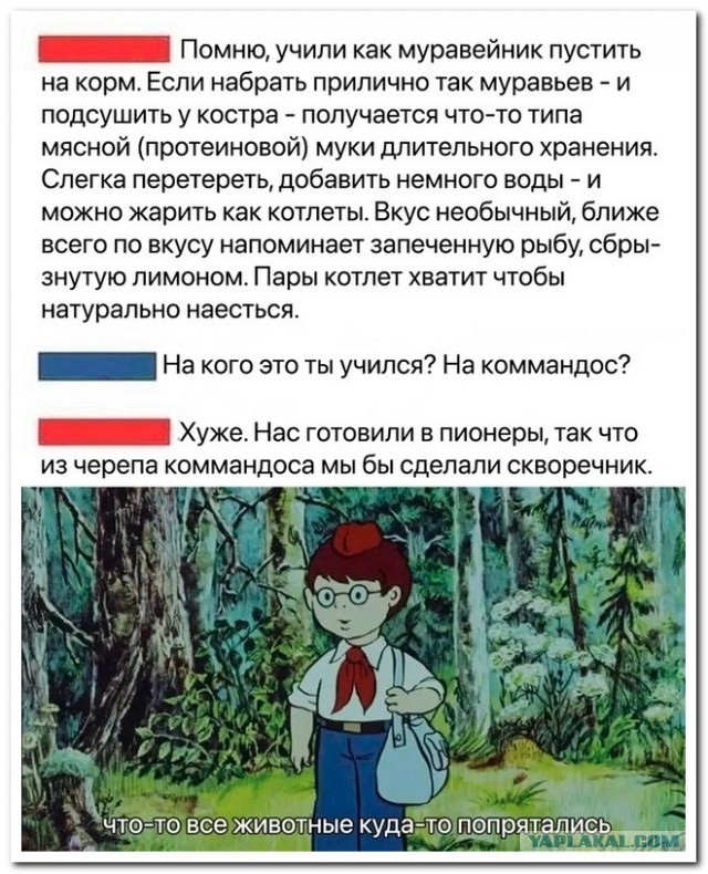 "Если ваш дети только жрут, срут и ноют..."