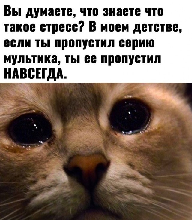 Картинки для деградации 268 (разной степени свежести)