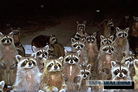 удалить! тест !