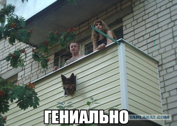 Позитивные картинки