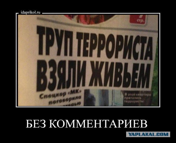 Небольшая подбока пикчей