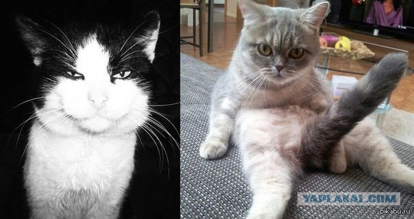 Удалить или нет?:)