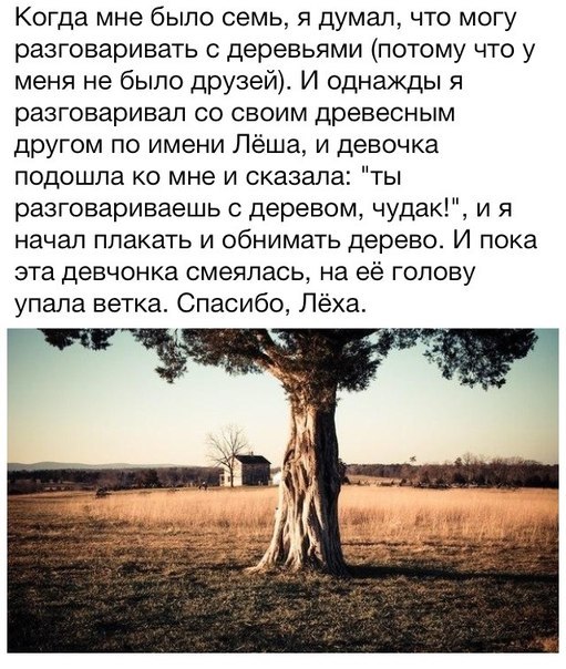 Картинки с инета.